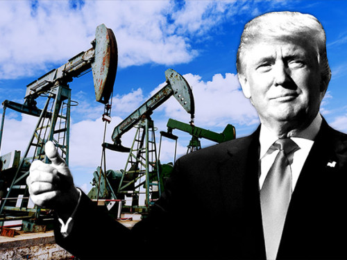 Trump-oil