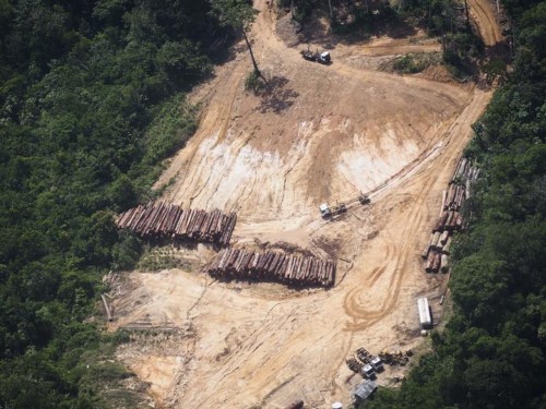 Amazon-deforest-900×540